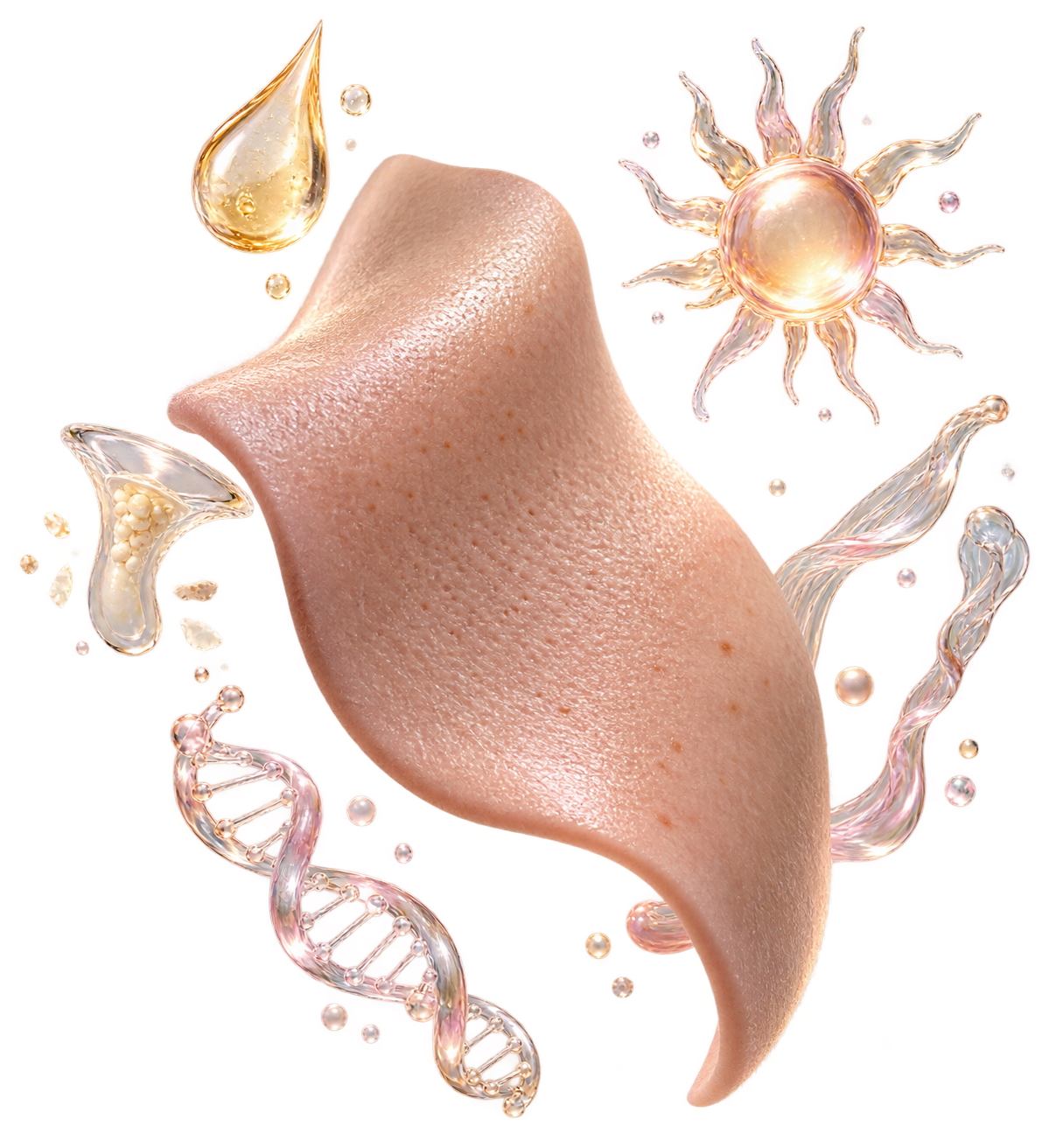 Illustration showing factors that can make pores appear more noticeable