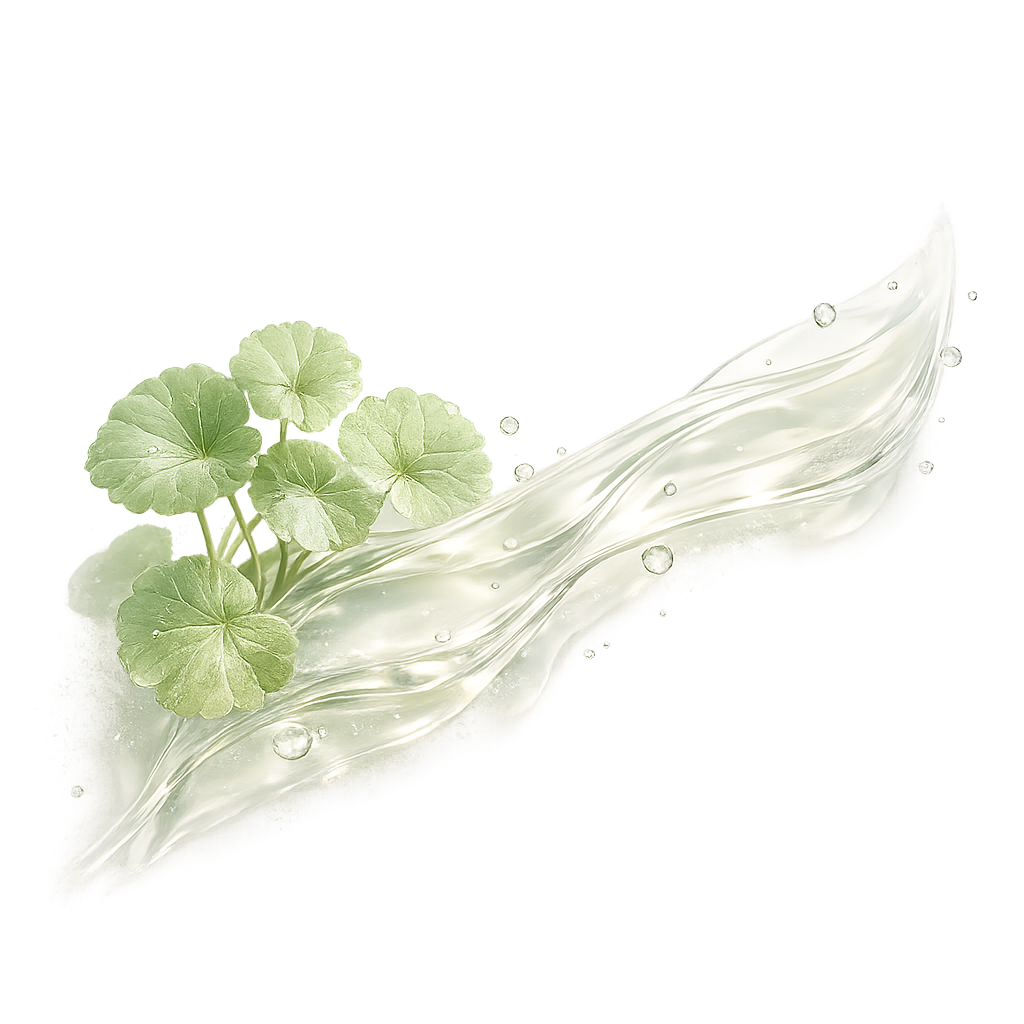 Centella asiatica